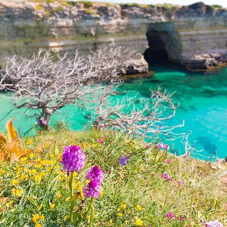 Deliziosa Casa Barbara In Centro Διαμέρισμα *