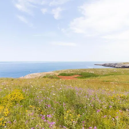 Deliziosa Casa Barbara In Centro *