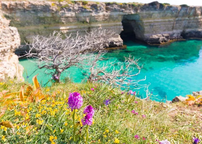 Deliziosa Casa Barbara In Centro 公寓 *