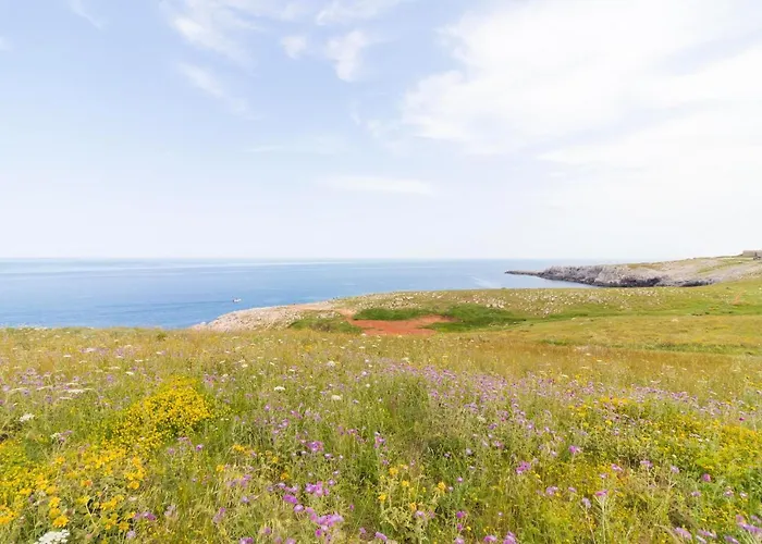 Deliziosa Casa Barbara In Centro *